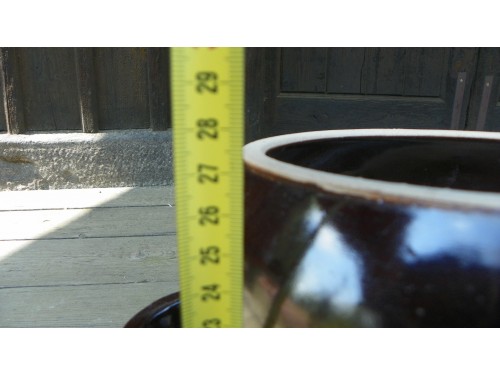 Petrželák vysoký 27cm,glazovaný