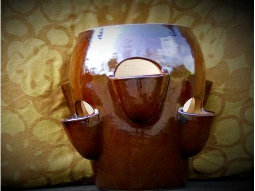 Petrželák na bylinky