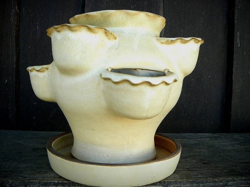 Petrželák s podmiskou bílý 25cm.