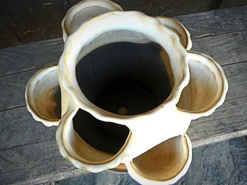 Petrželák s podmiskou bílý 25cm.