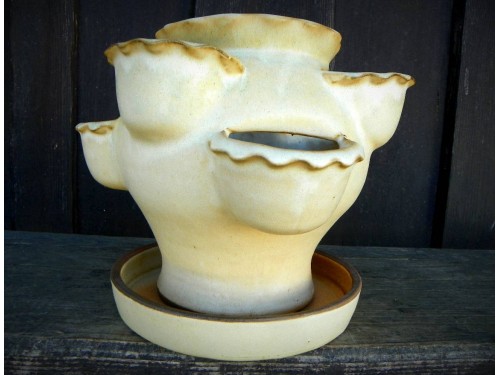 Petrželák s podmiskou bílý 25cm.