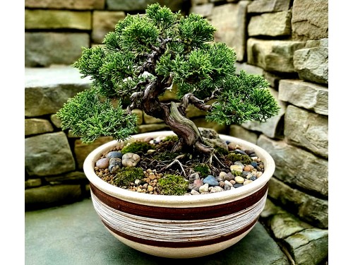 Žardina prům. 16 cm