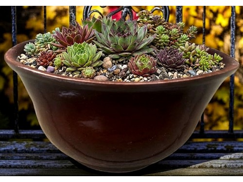 Květinová mísa čtverec.24 -24 cm.