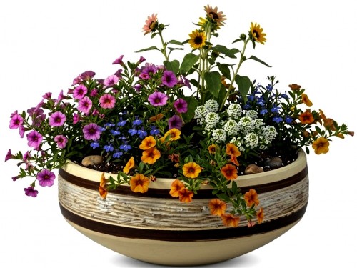 Žardinka-mísa na květiny 45cm.Rytá