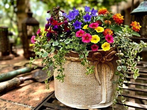 Obal na květináč, světlý, mašle