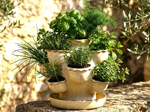 Petrželák s podmiskou bílý 25cm.